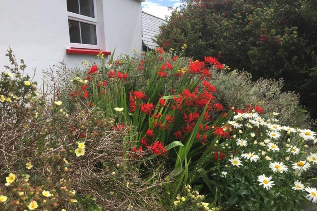 Red Stonecutters Cottage, Doolin Carrowauff Kültér fotó